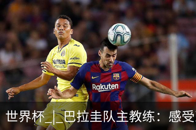 世界杯 | 巴拉圭队主教练：感受到比赛的极致压力
