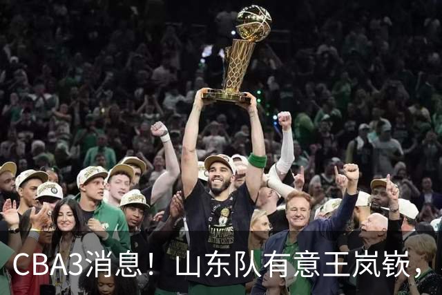 CBA3消息！山东队有意王岚嵚，杜锋或离队，又一位教练下课